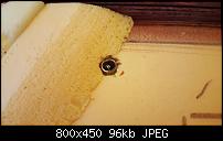 ������� �� ����������� ��� ����������
��������: 20180502_190555.jpg
����������: 140
������:	96.4 ��
ID:	12582