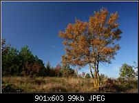 ������� �� ����������� ��� ����������
��������: 0_8894c_3b86a087_XXXL.jpg
����������: 1224
������:	98.7 ��
ID:	4448