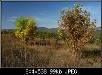 ������� �� ����������� ��� ����������
��������: 0_8894e_20c4fd3b_XXXL.jpg
����������: 738
������:	99.5 ��
ID:	4449