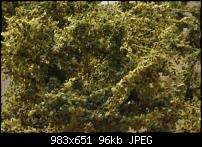 ������� �� ����������� ��� ����������
��������: DSC_9314.jpg
����������: 626
������:	95.5 ��
ID:	4547