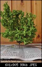 ������� �� ����������� ��� ����������
��������: DSC_9364.jpg
����������: 575
������:	98.6 ��
ID:	4725