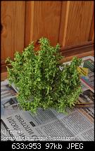 ������� �� ����������� ��� ����������
��������: DSC_9373.jpg
����������: 601
������:	96.8 ��
ID:	4727