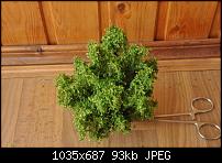 ������� �� ����������� ��� ����������
��������: DSC_9442.jpg
����������: 544
������:	93.4 ��
ID:	4761