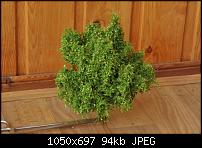 ������� �� ����������� ��� ����������
��������: DSC_9433.jpg
����������: 594
������:	93.8 ��
ID:	4762