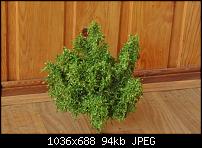 ������� �� ����������� ��� ����������
��������: DSC_9421.jpg
����������: 635
������:	93.8 ��
ID:	4763