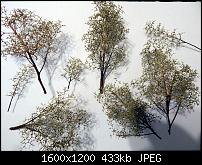 ������� �� ����������� ��� ����������
��������: DSCN0264.JPG
����������: 642
������:	433.3 ��
ID:	569