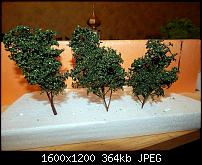 ������� �� ����������� ��� ����������
��������: DSCN0278.JPG
����������: 681
������:	363.5 ��
ID:	570