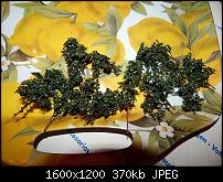 ������� �� ����������� ��� ����������
��������: DSCN0281.JPG
����������: 639
������:	370.3 ��
ID:	574