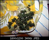 ������� �� ����������� ��� ����������
��������: DSCN0283.JPG
����������: 658
������:	339.7 ��
ID:	575