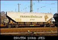 ������� �� ����������� ��� ����������
��������: vierachsiger-getreidesilowagenkapazit228t-96m3-1484m-eiggew-848561.jpg
����������: 536
������:	100.0 ��
ID:	6233