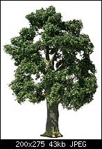 ������� �� ����������� ��� ����������
��������: Eiche_web.jpg
����������: 539
������:	43.5 ��
ID:	7507