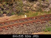     
: 4346Aartalbahn_03_07_2015_e.jpg
: 445
:	91.8 
ID:	8560