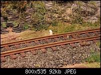 ������� �� ����������� ��� ����������
��������: 4346Aartalbahn_03_07_2015_e.jpg
����������: 475
������:	91.8 ��
ID:	8560